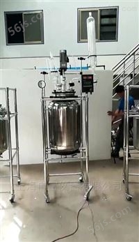 实验室不锈钢反应釜