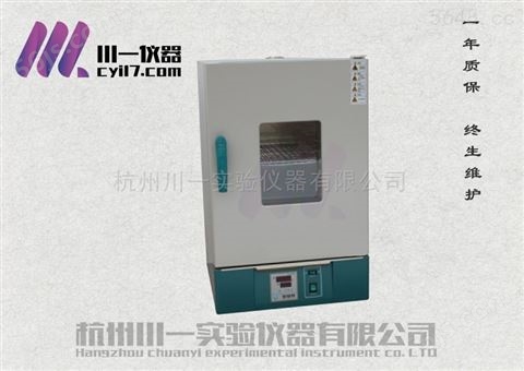电热恒温干燥箱202-00A卧式/立式可选