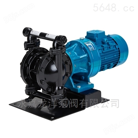 DBY-40铸铁电动隔膜泵